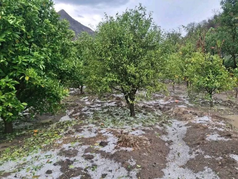 Granizada en San Lucas, Chuquisca / Foto: Nuestra Tierra Nuestra Gente /