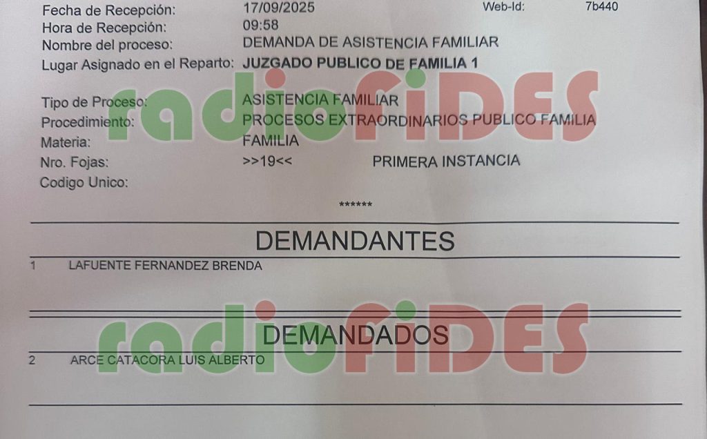 Demanda de asistencia familiar presentada contra Arce