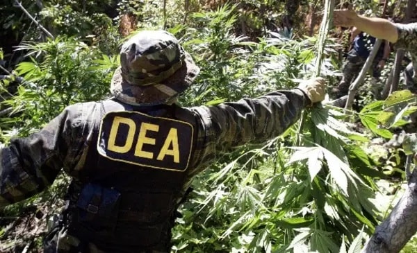 Evistas anuncian resistencia al gobierno de Paz y desde la CSUTCB reivindican el control del Ministerio de Desarrollo Rural DEA /Imagen de referencia/