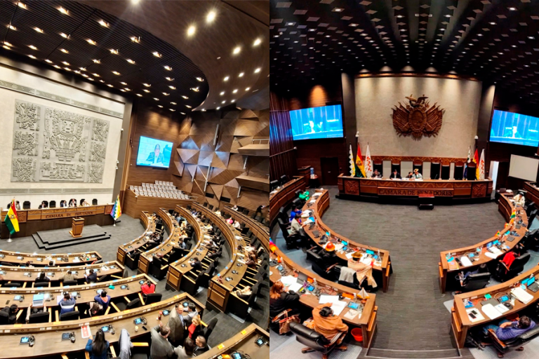Cámaras de Diputados y Senadores /Imagen Ilustrativa/
