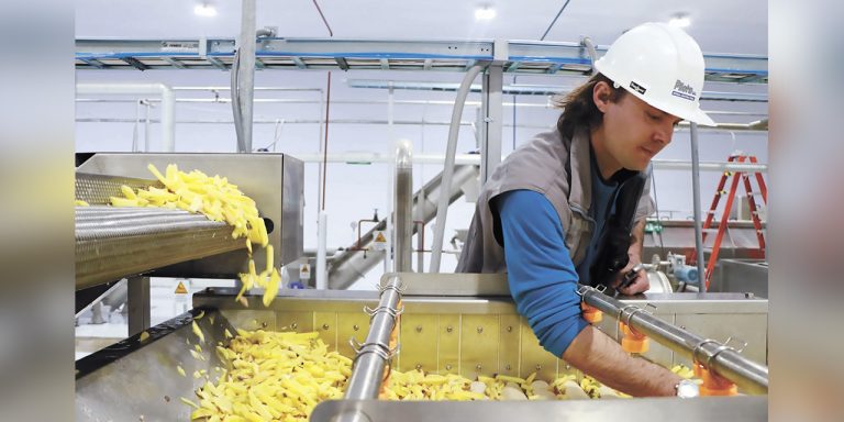 Uno de los productos derivados de esta planta es la papa prefrita. | Foto: Emapa