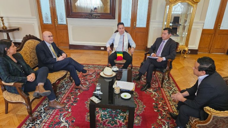 El ministro de la Presidencia, José Luis Lupo, y la viceministra de Autonomías, Andrea Barrientos se reúnen con el Vicepresidente Edmand Lara.