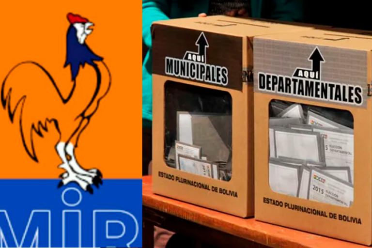 MIR y elecciones subnacionales