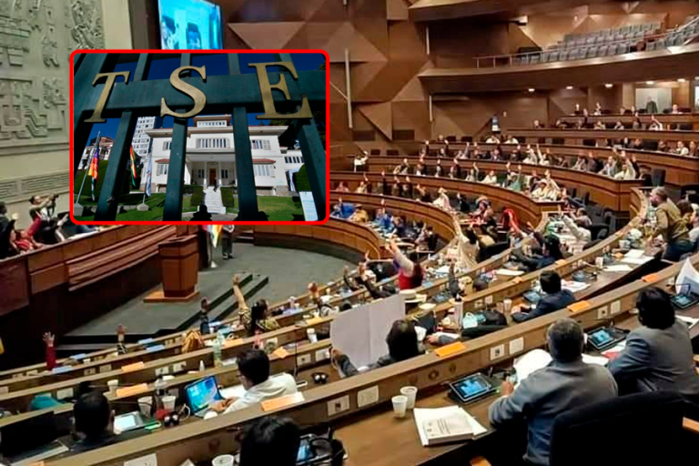 Tribunal Supremo Electoral y Cámara de Diputados