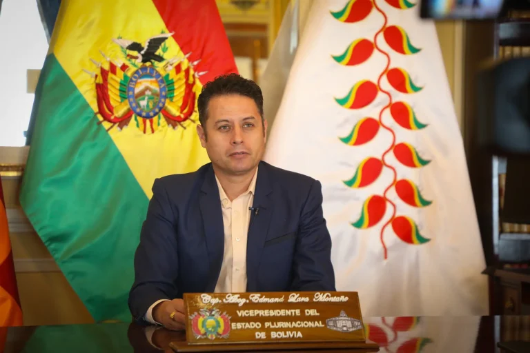 El vicepresidente Edmand Lara se dirige al país. (Foto: Vicepresidencia).