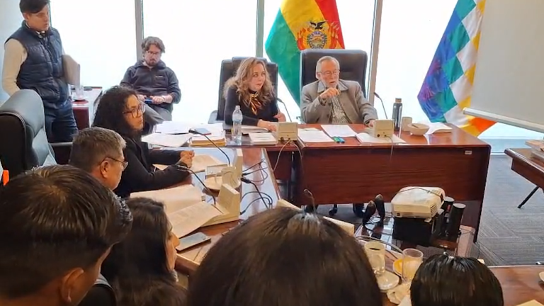 Comisión de Constitución de cámara baja