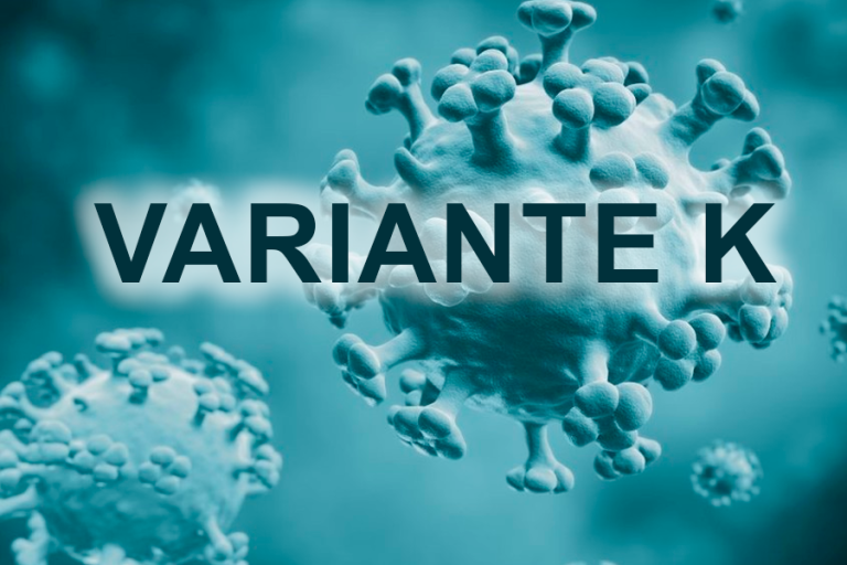 Influenza A H3N2 variante K /Imagen Ilustrativa/